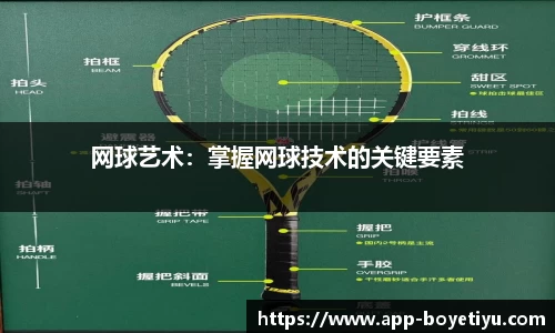 网球艺术：掌握网球技术的关键要素